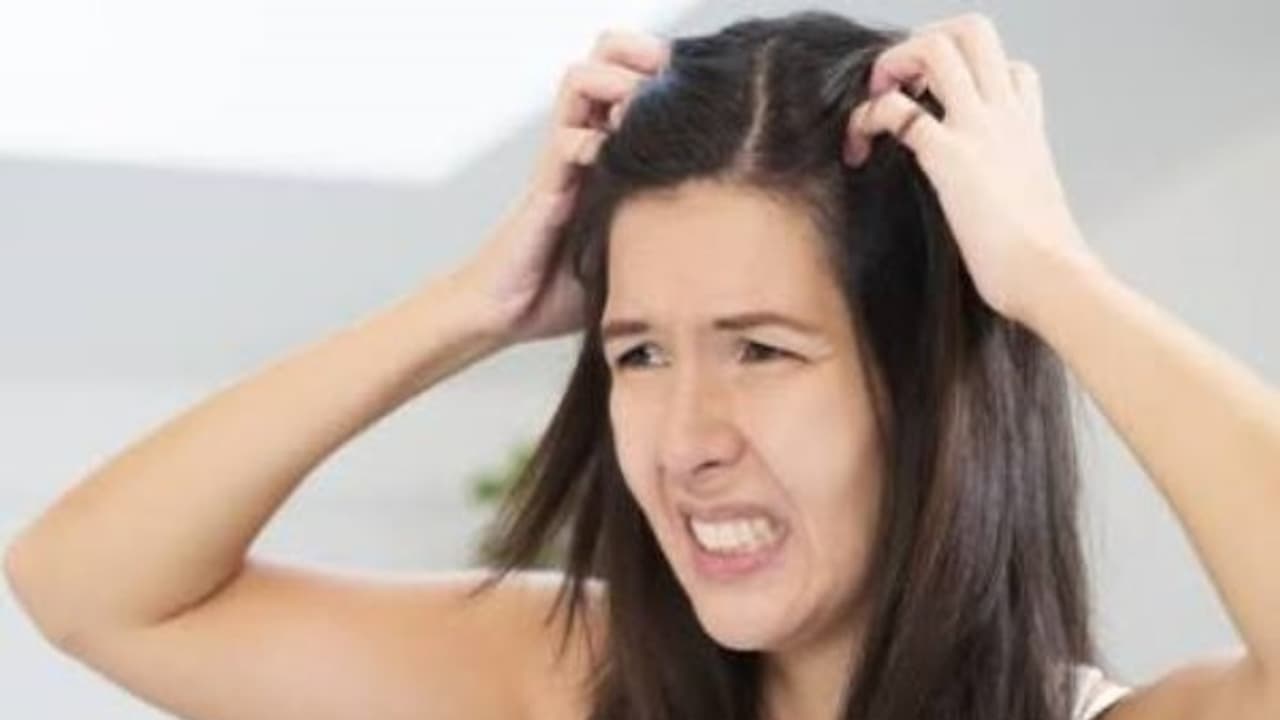 பேன் தொல்லையால் அவதியா? இந்த எளிய வீட்டு வைத்தியங்களை டிரை பண்ணுங்களேன்… பேன் தொல்லையால் அவதியா? இந்த எளிய வீட்டு வைத்தியங்களை டிரை பண்ணுங்களேன்…