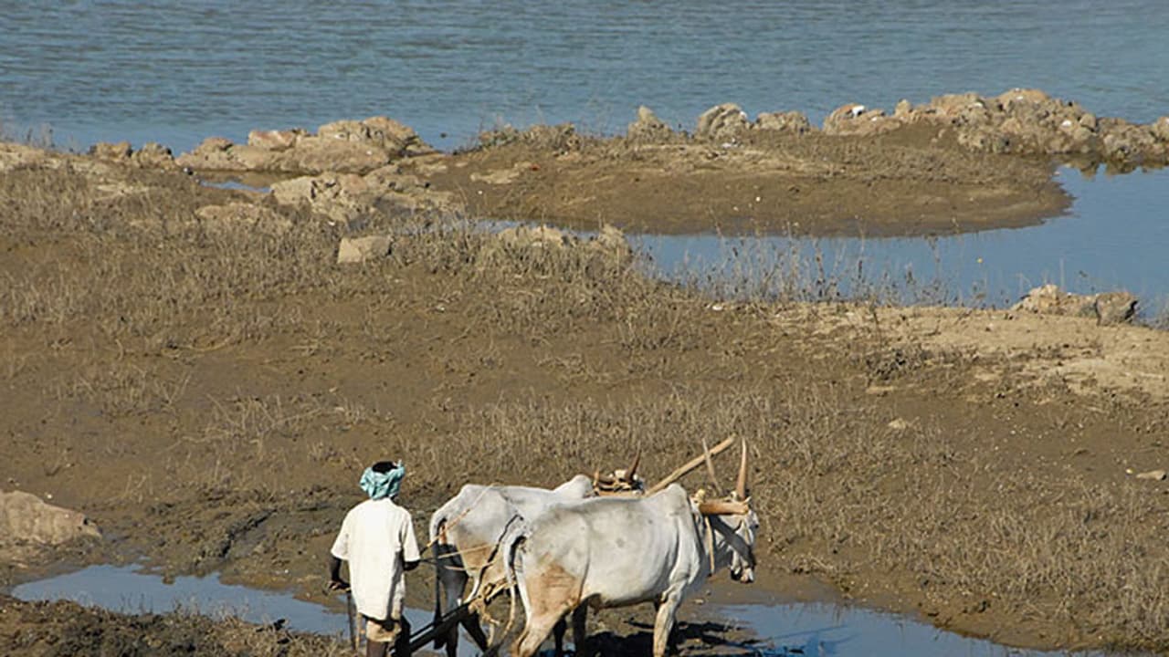 ಕರ್ನಾಟಕಕ್ಕೆ ಈಗ ಕಾವೇರಿ ಡವಡವ; 4 ವಾರದಲ್ಲಿ ಸುಪ್ರೀಂ ತೀರ್ಪು ಕರ್ನಾಟಕಕ್ಕೆ ಈಗ ಕಾವೇರಿ ಡವಡವ; 4 ವಾರದಲ್ಲಿ ಸುಪ್ರೀಂ ತೀರ್ಪು