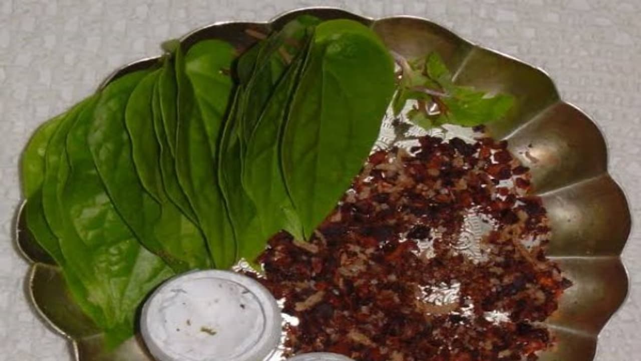 தாம்பூலம் போடுவதால் கிடைக்கும் பயன்கள் என்ன? தாம்பூலம் எப்படி போடணும்… தாம்பூலம் போடுவதால் கிடைக்கும் பயன்கள் என்ன? தாம்பூலம் எப்படி போடணும்…