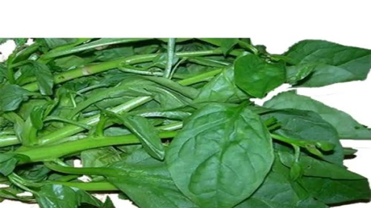 உங்களுக்குத் தெரியுமா? பசலைக் கீரையும் முட்டையும் சாப்பிட்டால் கண் பார்வை குறையவே குறையாது…