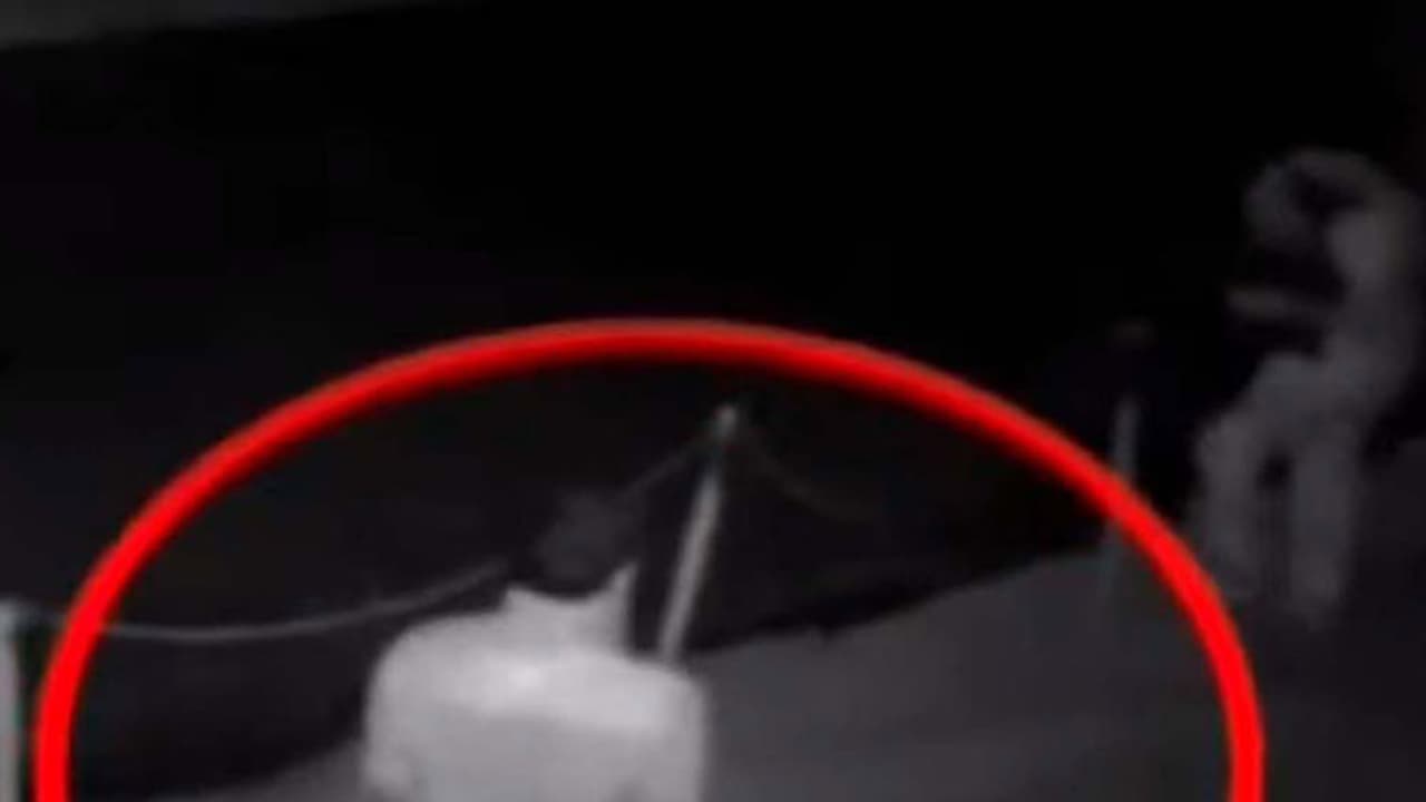 കൊച്ചിയിലെ കവർച്ചാ പരമ്പര: നിർണായക സിസിടിവി ദൃശ്യങ്ങള് ലഭിച്ചു കൊച്ചിയിലെ കവർച്ചാ പരമ്പര: നിർണായക സിസിടിവി ദൃശ്യങ്ങള് ലഭിച്ചു