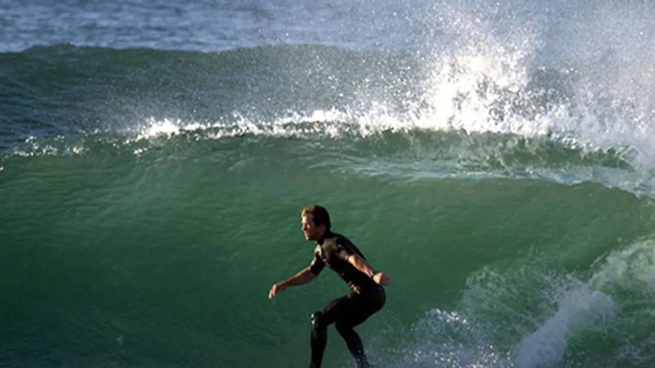 Cricketing legend Jonty Rhodes' quirky selfie diktat stumps fans