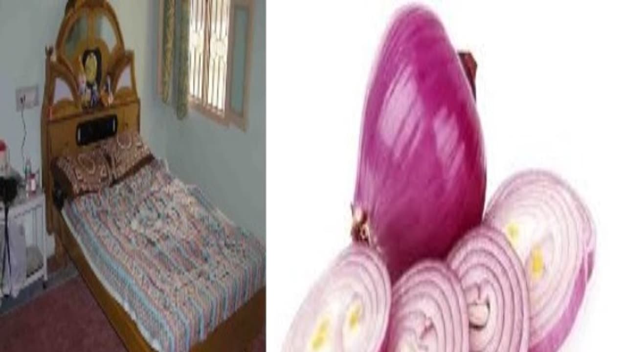 படுக்கை அறையில் வெங்காயம்... ஒரே இரவில் இப்படி மாறி இருந்தால் அது "கன்பார்ம்"..! படுக்கை அறையில் வெங்காயம்... ஒரே இரவில் இப்படி மாறி இருந்தால் அது "கன்பார்ம்"..!