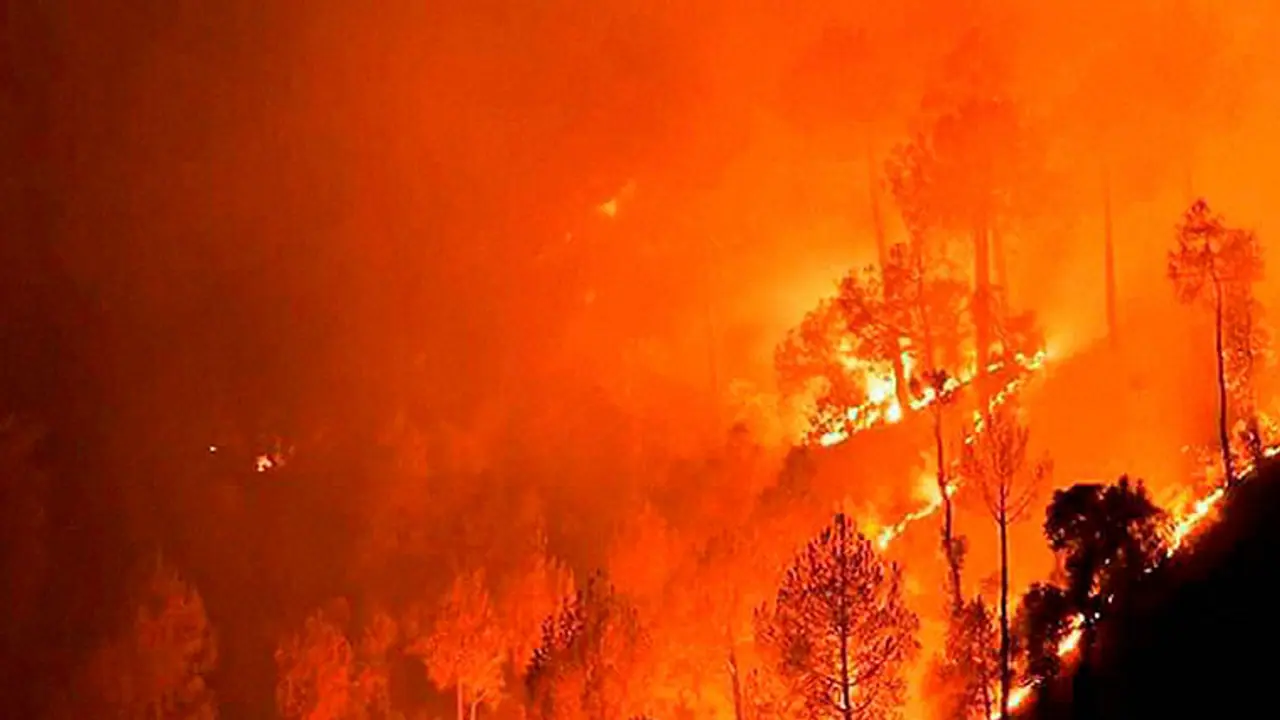 Fresh forest fire breaks out in Uttarakhand Fresh forest fire breaks out in Uttarakhand