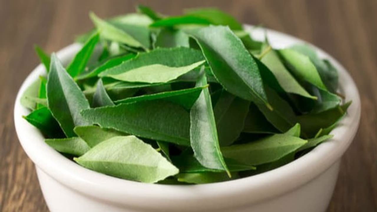 கறிவேப்பிலையில் இப்படி ஒரு மருத்துவ குணம் இருக்குனு நீங்கள் கேள்விப்பட்டதுண்டா? கறிவேப்பிலையில் இப்படி ஒரு மருத்துவ குணம் இருக்குனு நீங்கள் கேள்விப்பட்டதுண்டா?