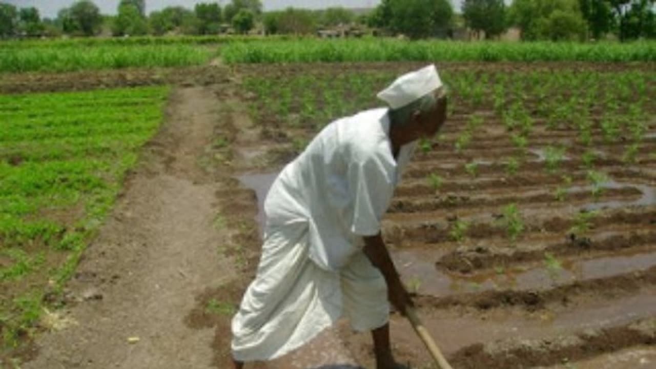 குறைவான உழவில் எவ்வளவு முறைகள் இருக்குனு இதை வாசிச்சு தெரிஞ்சுக்குங்க… குறைவான உழவில் எவ்வளவு முறைகள் இருக்குனு இதை வாசிச்சு தெரிஞ்சுக்குங்க…