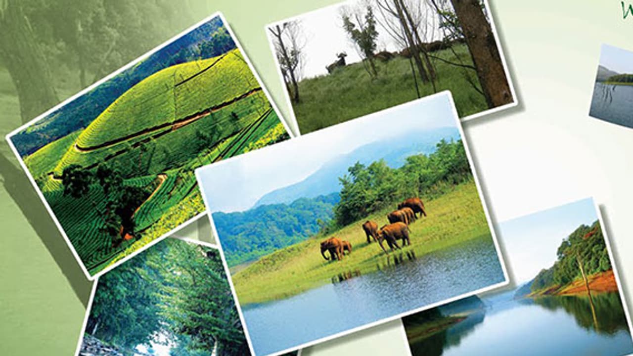 SC Order Banning liquor shops on highways to hit tourism sector hard SC Order Banning liquor shops on highways to hit tourism sector hard