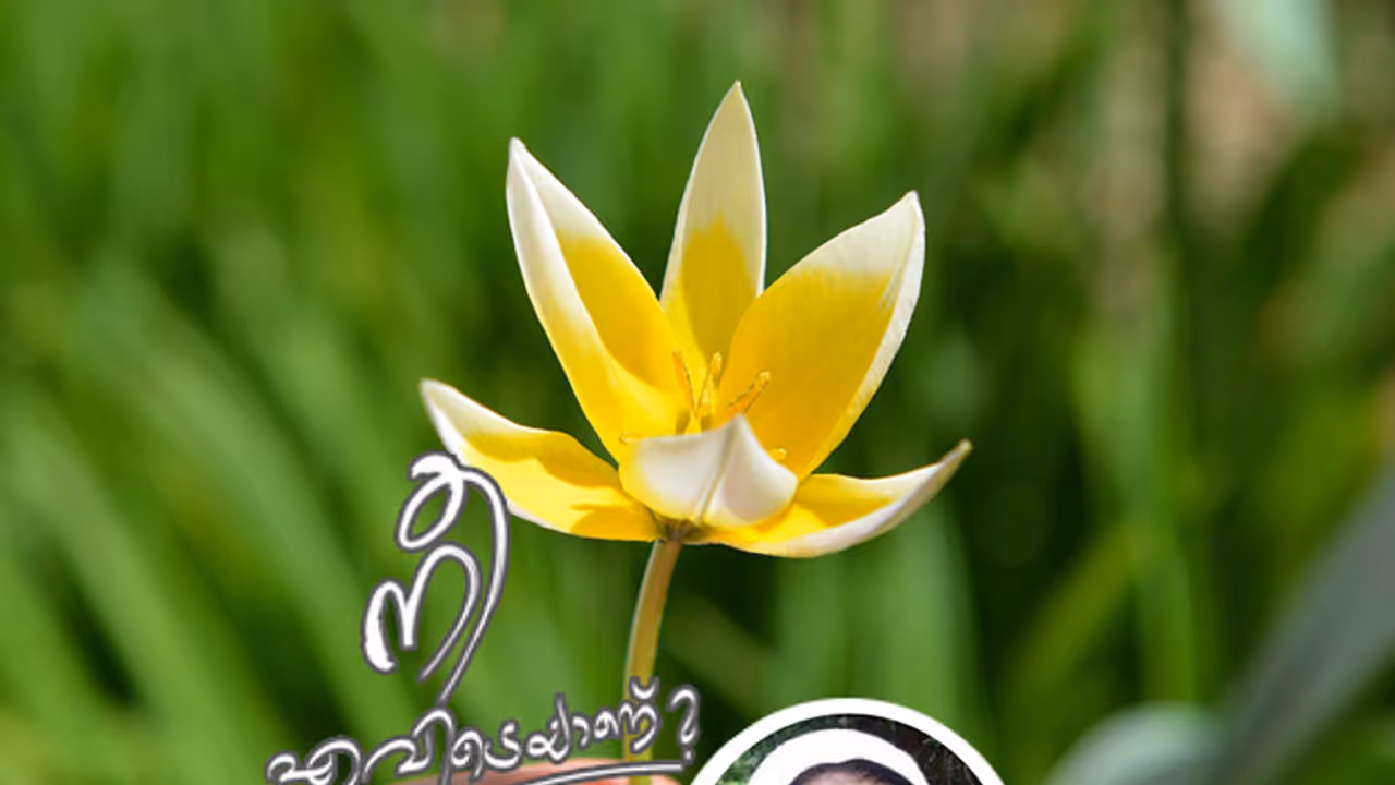 ഒരേ ബസ്സിലെ അപരിചിതരായ രണ്ടു യാത്രക്കാര്‍