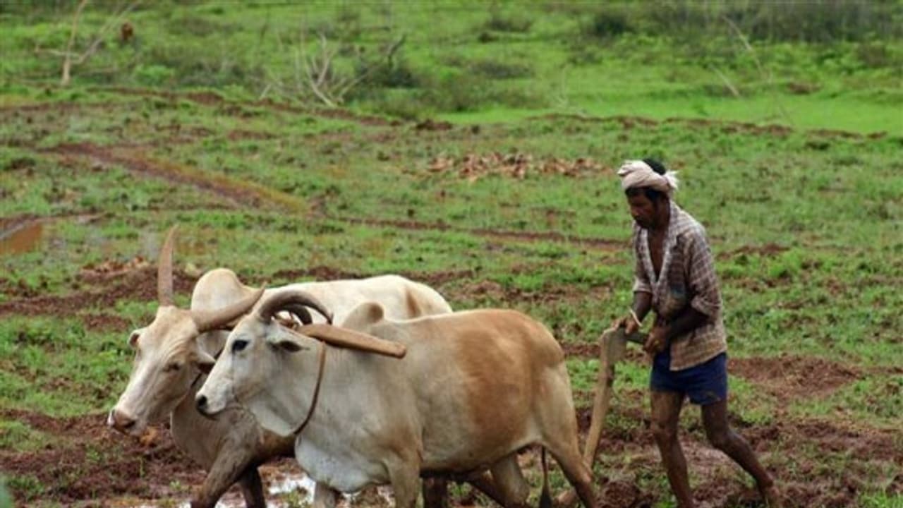 இயற்கை விவசாயம் முறையில் நீங்கள் கொஞ்சம்கூட எதிர்ப்பார்த்திராத இந்த விஷயம் நடக்கிறது... இயற்கை விவசாயம் முறையில் நீங்கள் கொஞ்சம்கூட எதிர்ப்பார்த்திராத இந்த விஷயம் நடக்கிறது...