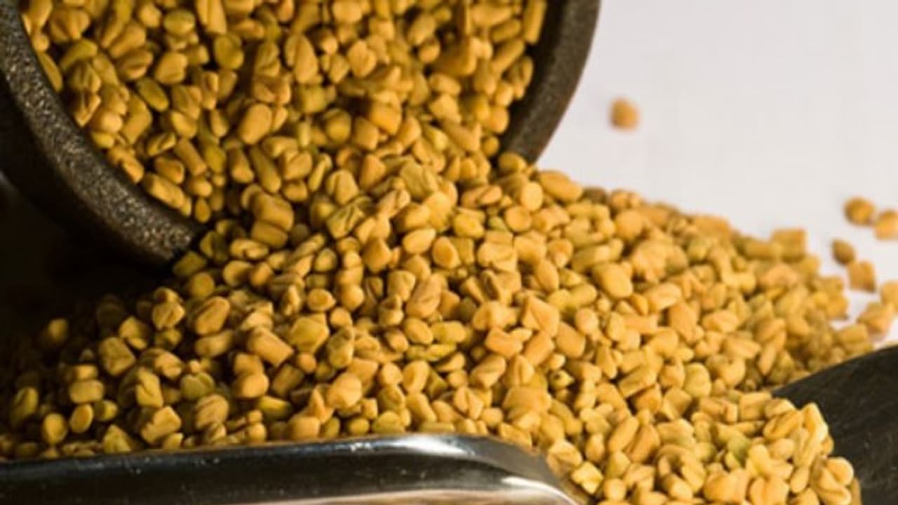 உங்களுக்குத் தெரியுமா? சர்க்கரை வியாதியை வராமல் தடுக்கும் சக்தி வெந்தயத்துக்கு உண்டு... உங்களுக்குத் தெரியுமா? சர்க்கரை வியாதியை வராமல் தடுக்கும் சக்தி வெந்தயத்துக்கு உண்டு...