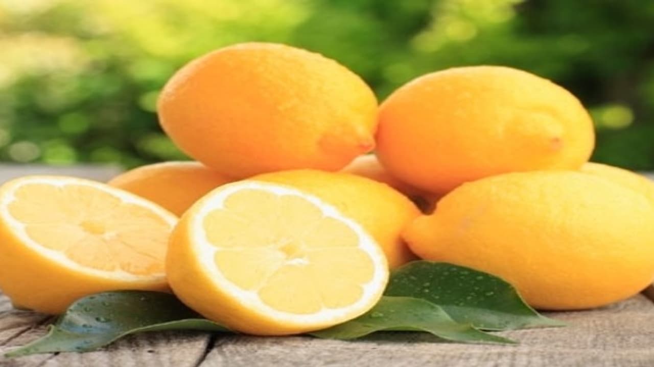 எளிதாக கிடைக்கும் எலுமிச்சையில் ஏராளமான மருத்துவக் குணங்கள் இருக்கு… எளிதாக கிடைக்கும் எலுமிச்சையில் ஏராளமான மருத்துவக் குணங்கள் இருக்கு…