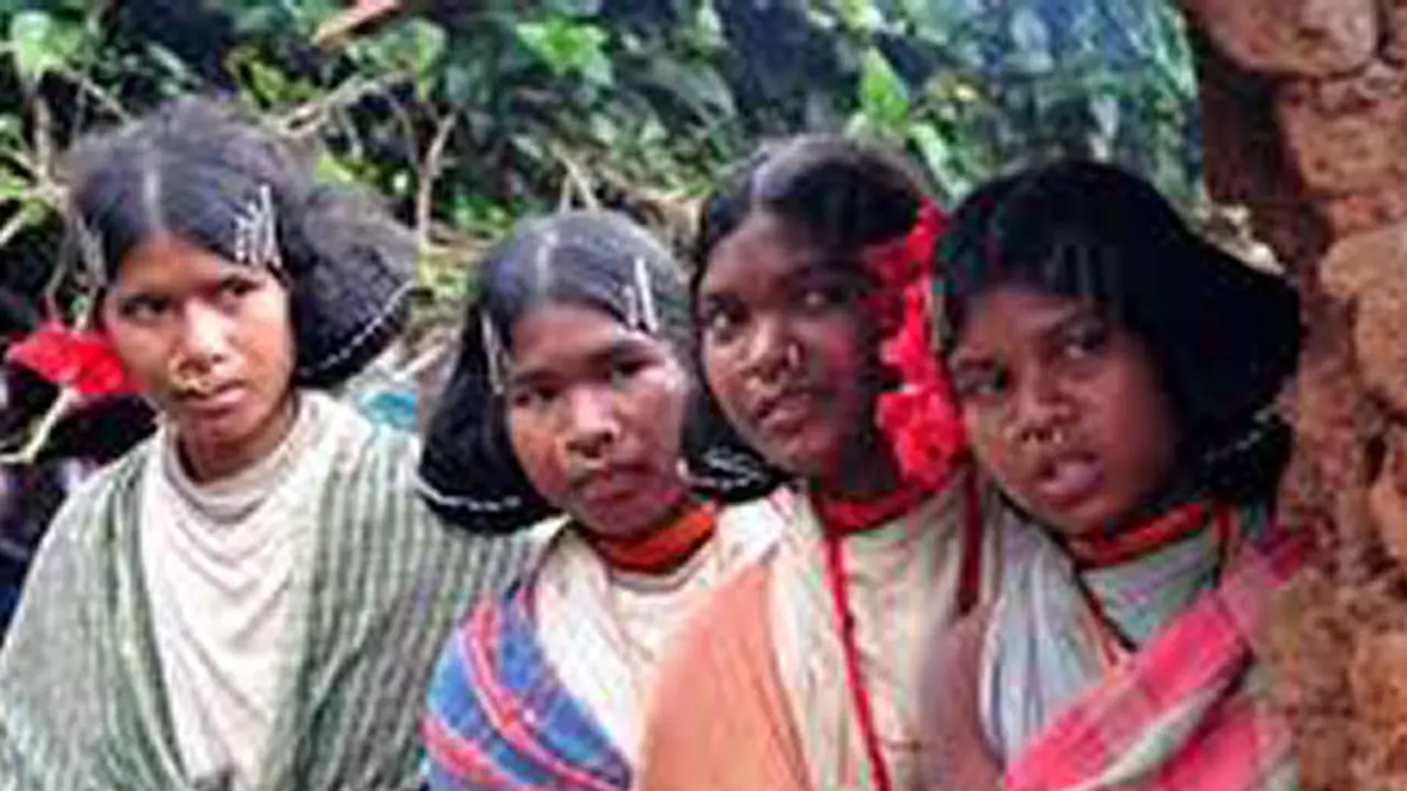 11 members of Hakki Pikki tribe from Shivamogga arrested in Rwanda 11 members of Hakki Pikki tribe from Shivamogga arrested in Rwanda