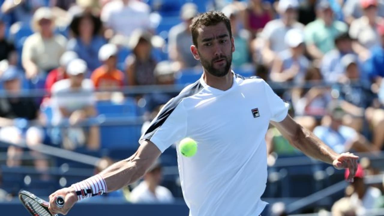 ಡೇವಿಸ್ ಕಪ್: ಭಾರತ ವಿರುದ್ಧ ಪಂದ್ಯಕ್ಕೆ ಸಿಲಿಚ್! ಡೇವಿಸ್ ಕಪ್: ಭಾರತ ವಿರುದ್ಧ ಪಂದ್ಯಕ್ಕೆ ಸಿಲಿಚ್!