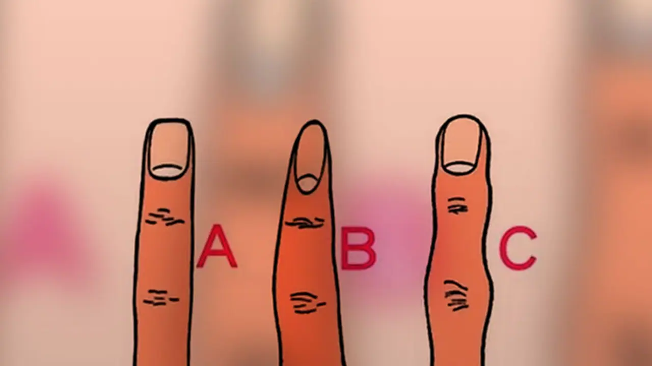 The shape of your fingers reveals your personality The shape of your fingers reveals your personality
