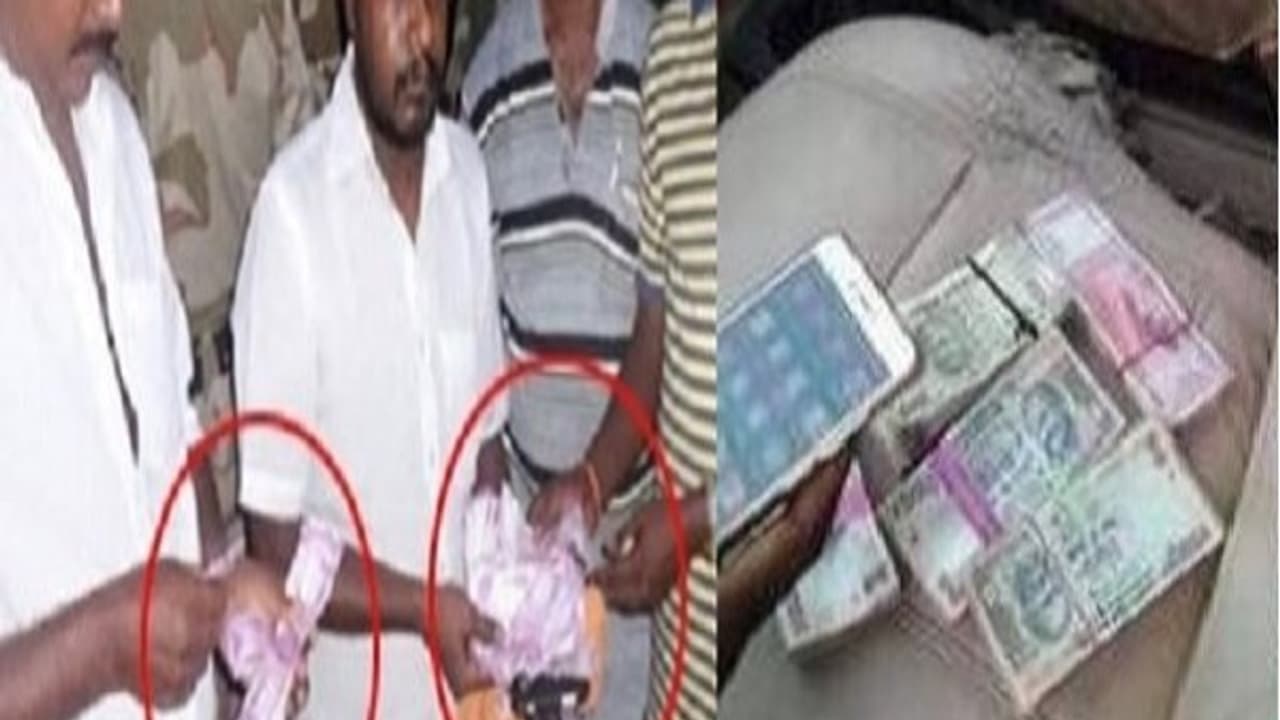 ஆர்.கே.நகர் வெற்றிக்கு தினகரன் கொடுத்த விலை ரூ.300 கோடி! ஆர்.கே.நகர் வெற்றிக்கு தினகரன் கொடுத்த விலை ரூ.300 கோடி!