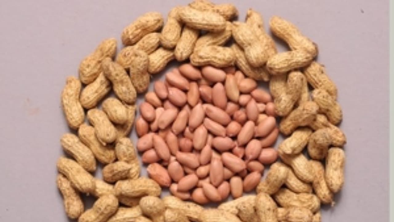 நிலக்கடலையை இந்த இரண்டு பிரச்சனை இருப்பவர்கள் பயன்படுத்தினால் ரொம்ப நல்லது... நிலக்கடலையை இந்த இரண்டு பிரச்சனை இருப்பவர்கள் பயன்படுத்தினால் ரொம்ப நல்லது...