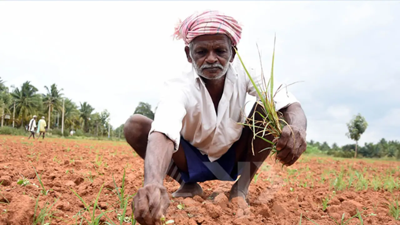 Chandrababu Naidu finds it difficult to waive farmer loans Chandrababu Naidu finds it difficult to waive farmer loans
