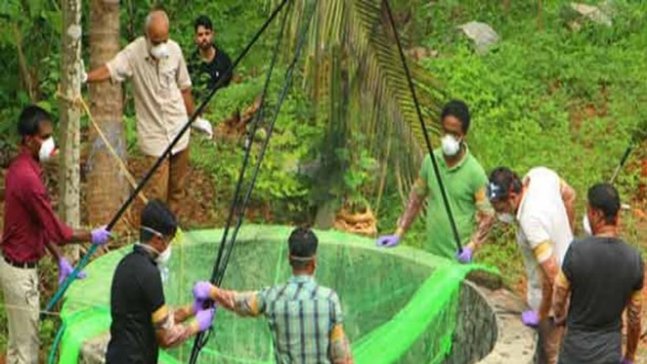 கேரளாவில் நிஃபா வைரஸ் காய்ச்சல் பரவ காரணம் இந்த மரண கிணறுதான் !! எப்படி பரவியது தெரியுமா ? கேரளாவில் நிஃபா வைரஸ் காய்ச்சல் பரவ காரணம் இந்த மரண கிணறுதான் !! எப்படி பரவியது தெரியுமா ?