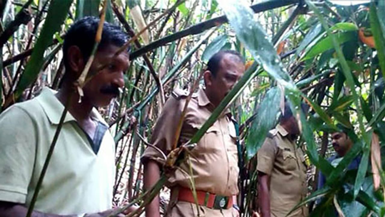 പെണ് പുലിയെ വെടിവെച്ചു കൊന്നയാളെ ആണ് പുലി കടിച്ചു കൊന്നു, രണ്ടാം പ്രതി പിടിയില് പെണ് പുലിയെ വെടിവെച്ചു കൊന്നയാളെ ആണ് പുലി കടിച്ചു കൊന്നു, രണ്ടാം പ്രതി പിടിയില്