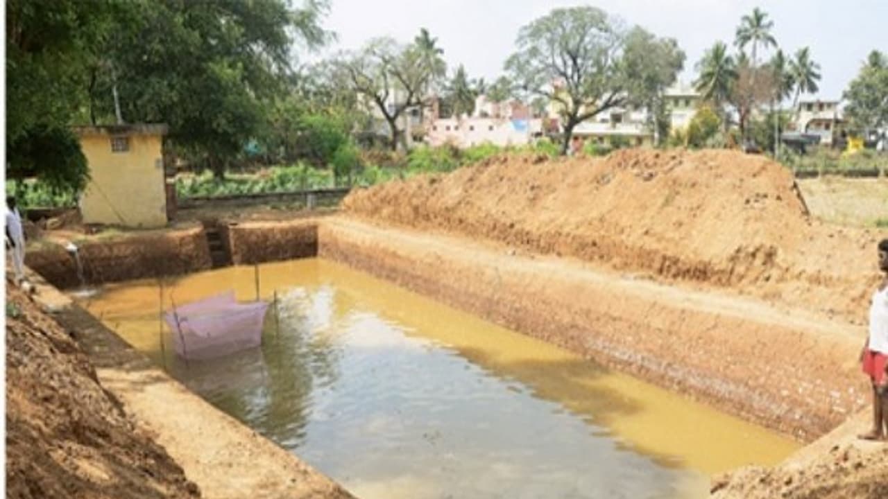 நன்னீரில் மீன் வளர்க்கும்போது குளங்களை எப்படி தயார் செய்யணும்?