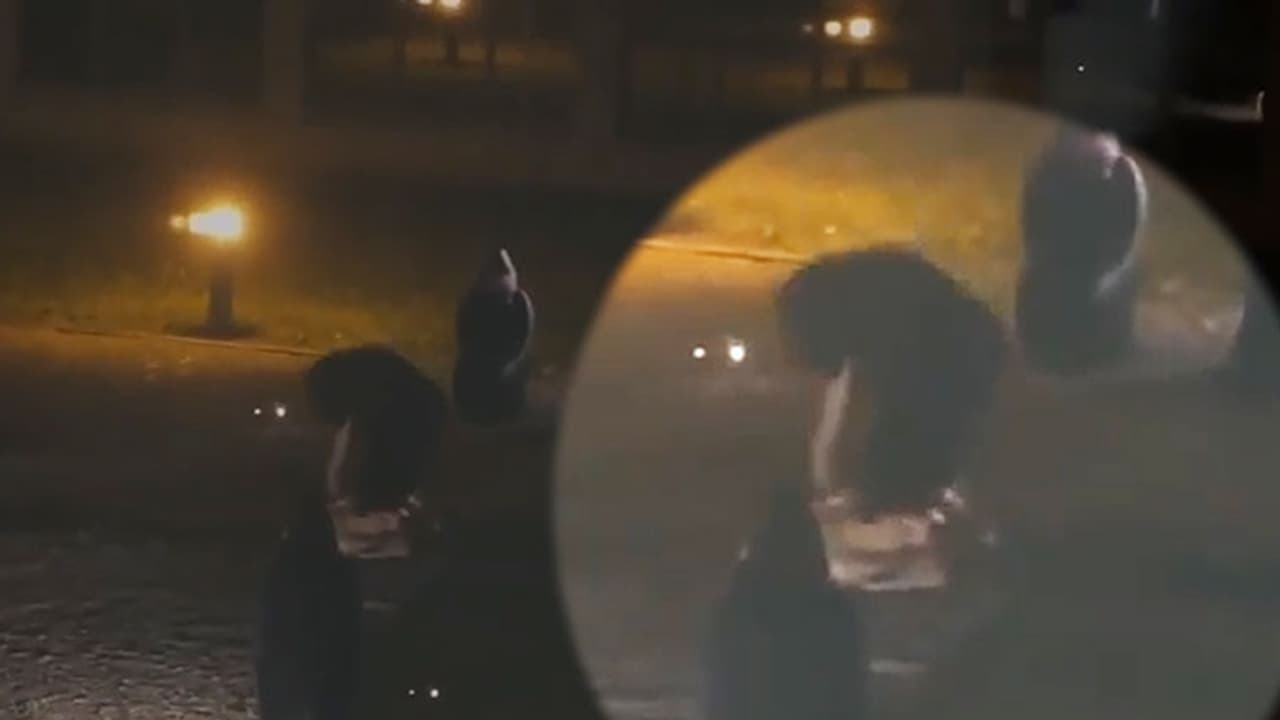 సంతానలేమి: పక్కింటి కుర్రాడిని చంపేసి, శవాన్ని ప్లాస్టిక్ బ్యాగ్ లో చుట్టి....