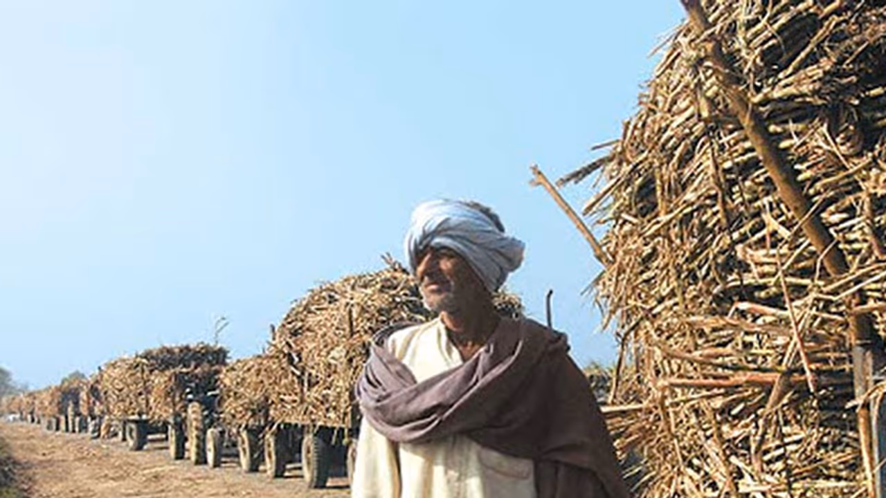 Cruel Joke: UP government provides waivers on farmer loans worth 19 paisa Cruel Joke: UP government provides waivers on farmer loans worth 19 paisa