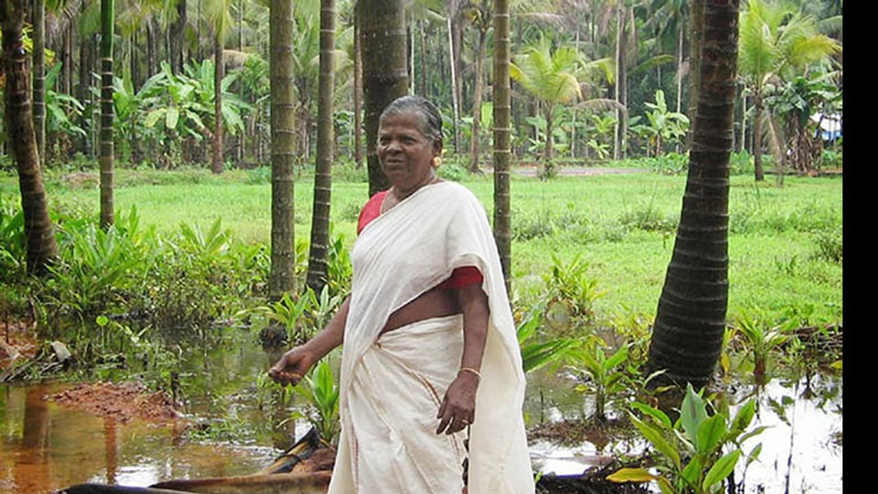 ഒരു ദലിത് സ്ത്രീയുടെ വിഷുവും ഓണവും!