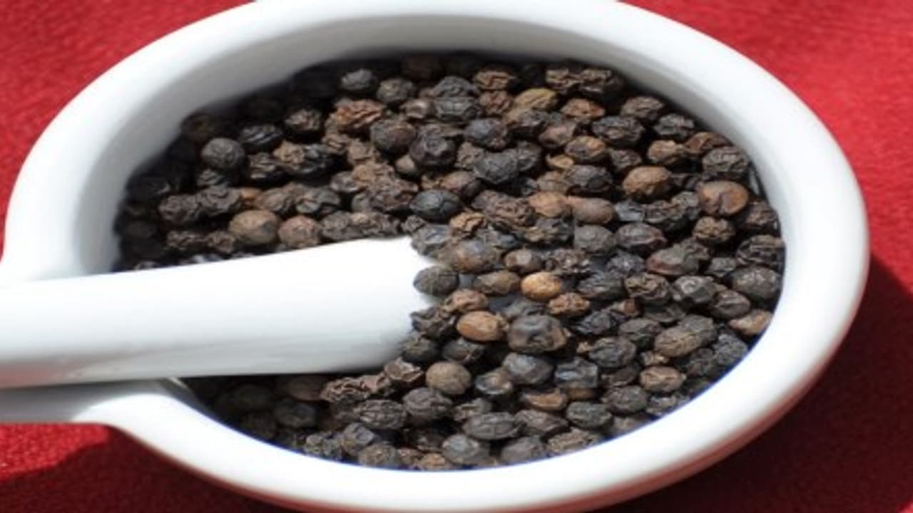 ஆஸ்துமா நோயாளிகளுக்கு மிளகு ஒரு அருமருந்து. எப்படி? ஆஸ்துமா நோயாளிகளுக்கு மிளகு ஒரு அருமருந்து. எப்படி?