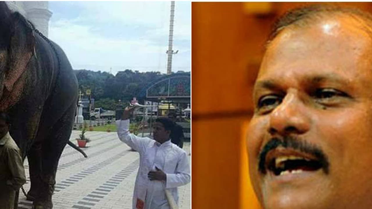 Elephant, which belongs to PC George's family, gets 'blessed' at Kottayam church Elephant, which belongs to PC George's family, gets 'blessed' at Kottayam church