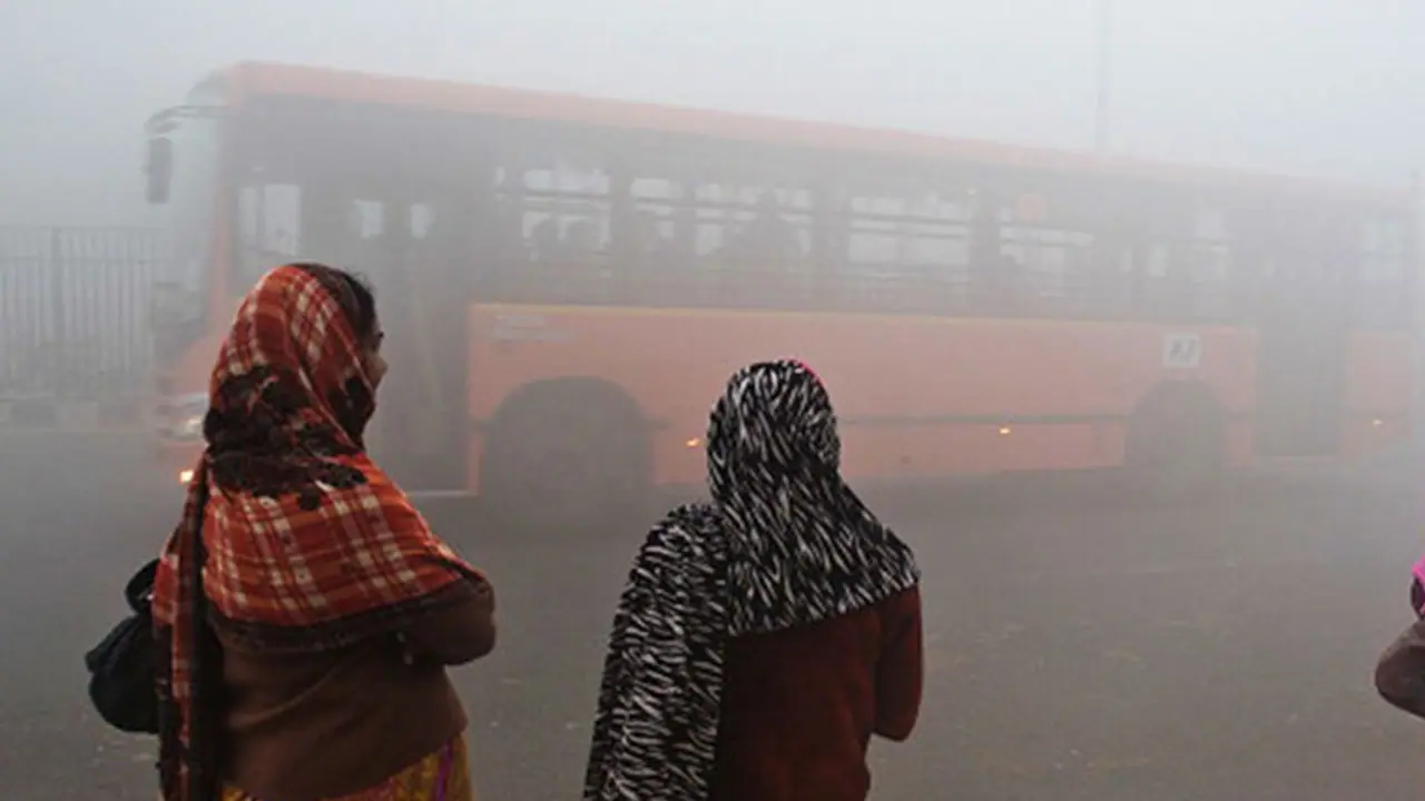Cold wave continues to grip Delhi as temperatures drop to 3.6 degrees Celsius
