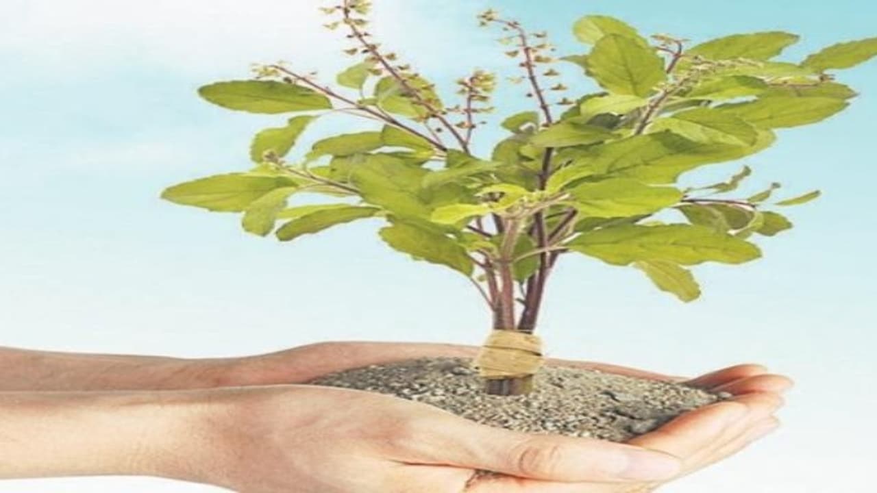 புற்றுநோயில் இருந்து மீள்வதற்கு இந்த உணவுகள் உதவும்.. புற்றுநோயில் இருந்து மீள்வதற்கு இந்த உணவுகள் உதவும்..