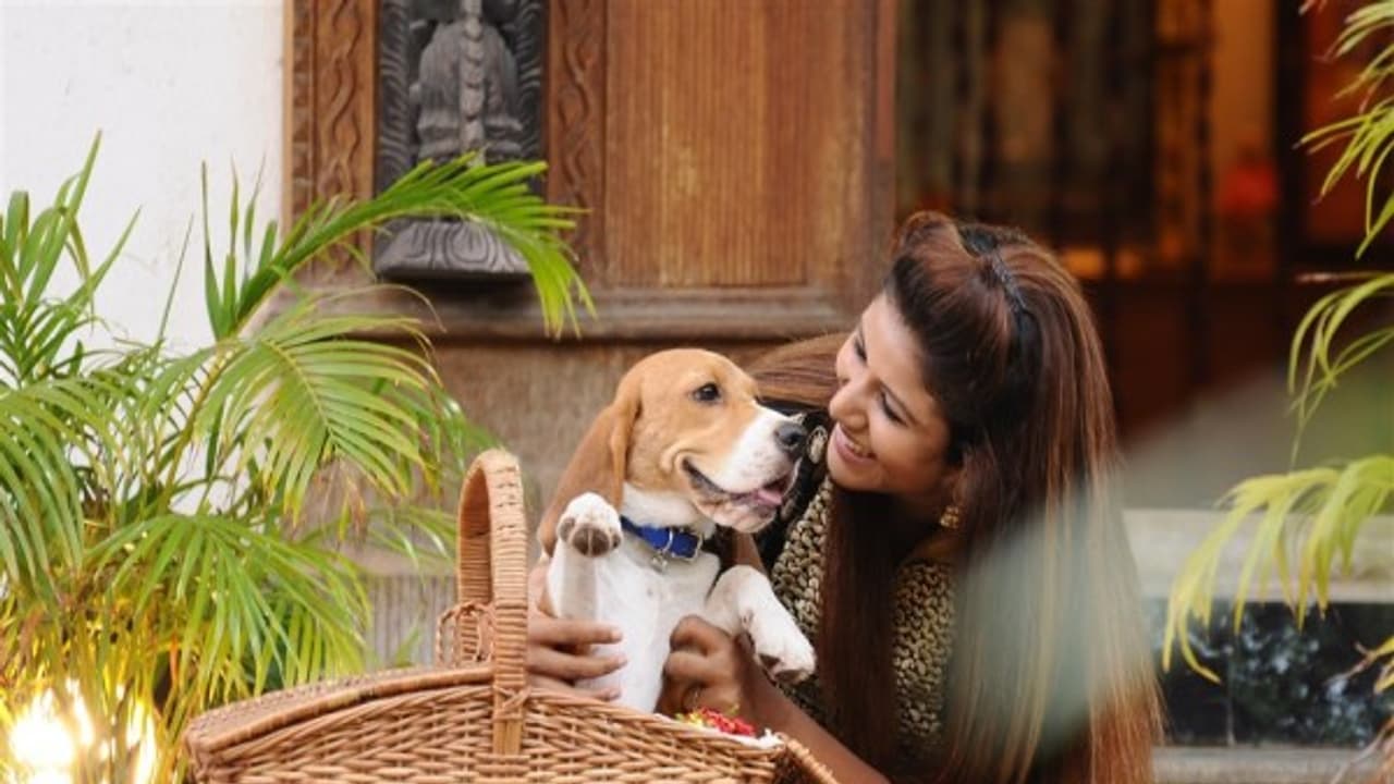 நிஜ காதலனை துரத்தி துரத்தி காதலித்த செம்பா! நம்ப மறுத்த காதலன்..! நிஜ காதலனை துரத்தி துரத்தி காதலித்த செம்பா! நம்ப மறுத்த காதலன்..!