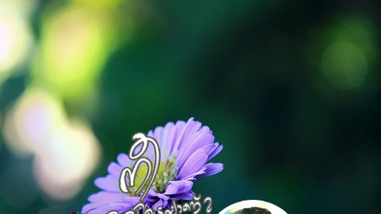 യാത്ര പോലും പറയാതെ നീ പോയത് എങ്ങോട്ടാണ്? യാത്ര പോലും പറയാതെ നീ പോയത് എങ്ങോട്ടാണ്?