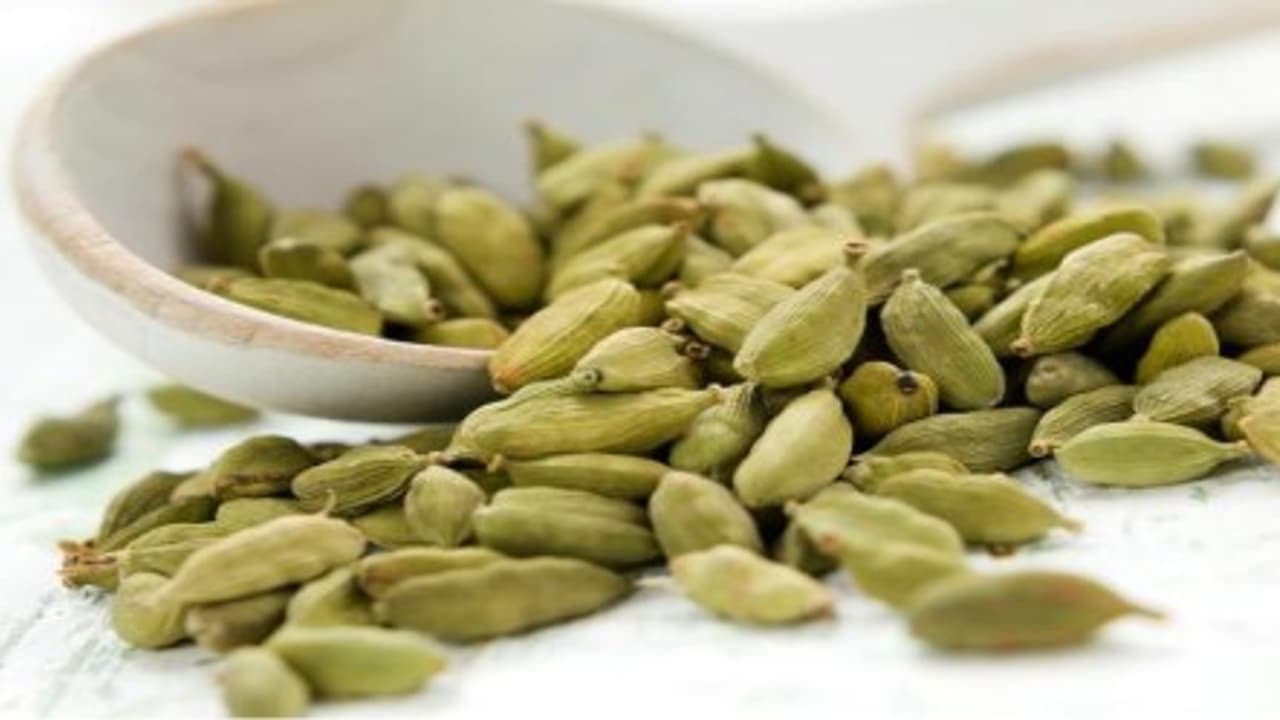 இவ்வளவு மருத்துவப் பண்புகள் கொண்ட ஏலக்காயை ஏளனமாய் நினைக்காதீங்க… இவ்வளவு மருத்துவப் பண்புகள் கொண்ட ஏலக்காயை ஏளனமாய் நினைக்காதீங்க…