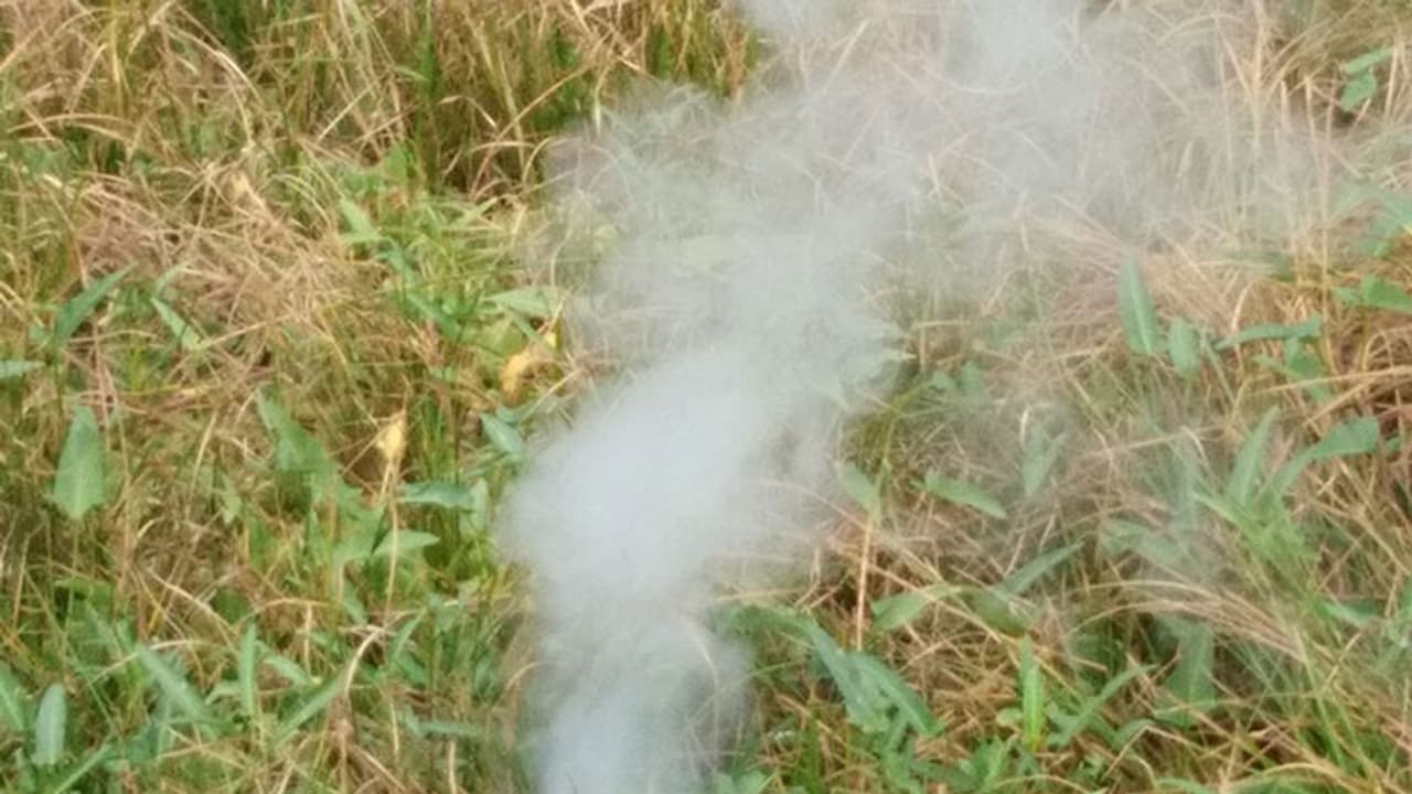 തരിശുകിടന്ന പാടശേഖരത്തില് അപകടം പതിയിരുന്നത് 14 വര്ഷം തരിശുകിടന്ന പാടശേഖരത്തില് അപകടം പതിയിരുന്നത് 14 വര്ഷം