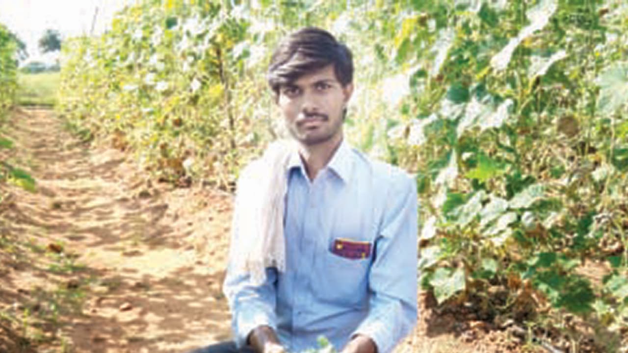 ಸ್ನಾತಕೋತ್ತರ ಪದವೀಧರನ ಮಿಡಿಸೌತೆ ಸಾಹಸ ಸ್ನಾತಕೋತ್ತರ ಪದವೀಧರನ ಮಿಡಿಸೌತೆ ಸಾಹಸ