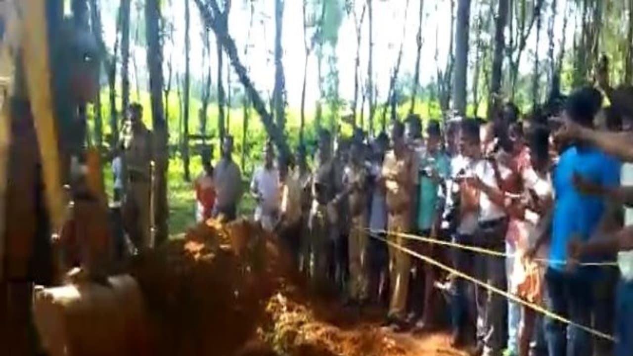 யானை நன்றி சொல்லுச்சா, இல்லை மிரட்டுச்சா?: விவாதம் வைக்கும் கேரள வீடியோ... யானை நன்றி சொல்லுச்சா, இல்லை மிரட்டுச்சா?: விவாதம் வைக்கும் கேரள வீடியோ...