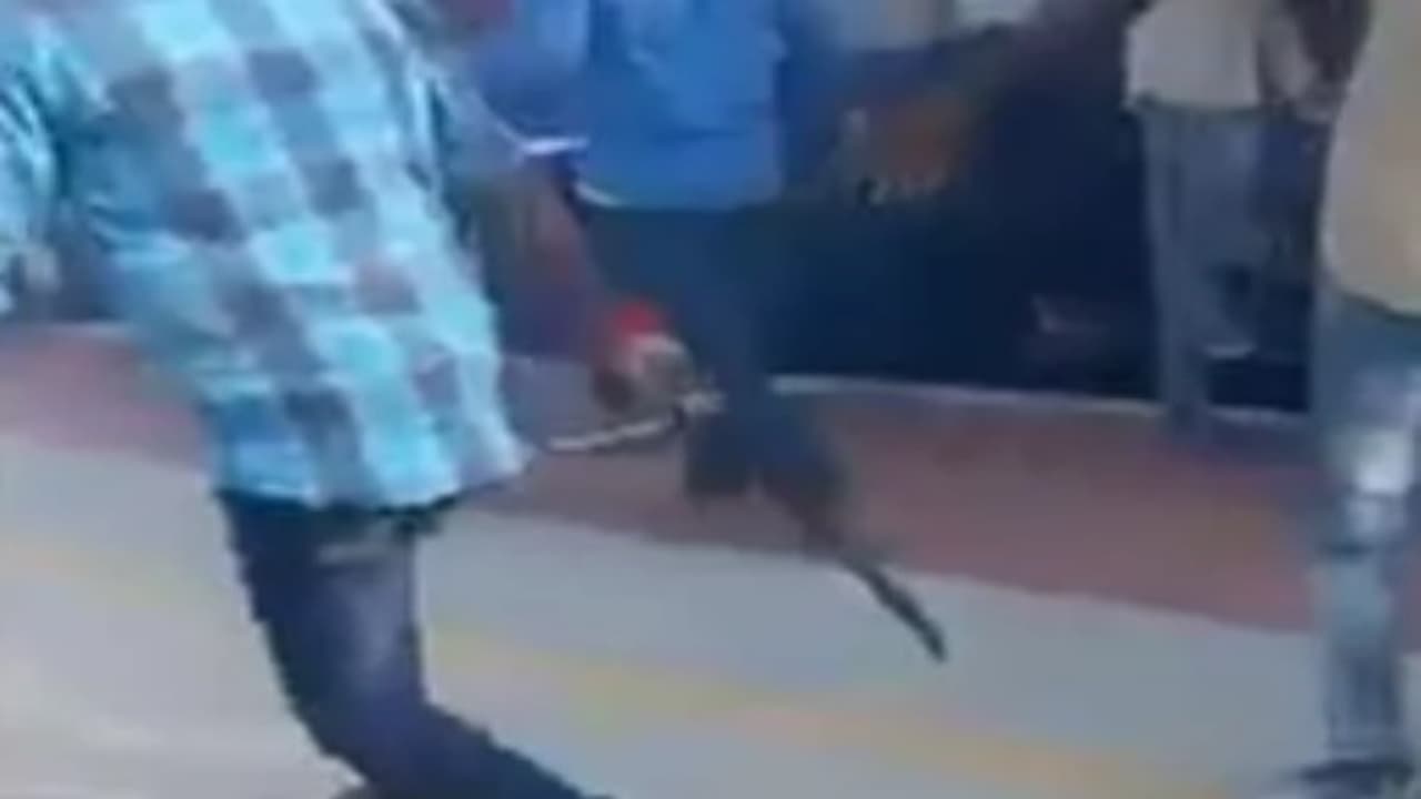 ரயிலில் கத்தியுடன் திரிந்த விவகாரம் பச்சையப்பன் கல்லூரி மாணவன் சஸ்பெண்ட்...! ரயிலில் கத்தியுடன் திரிந்த விவகாரம் பச்சையப்பன் கல்லூரி மாணவன் சஸ்பெண்ட்...!