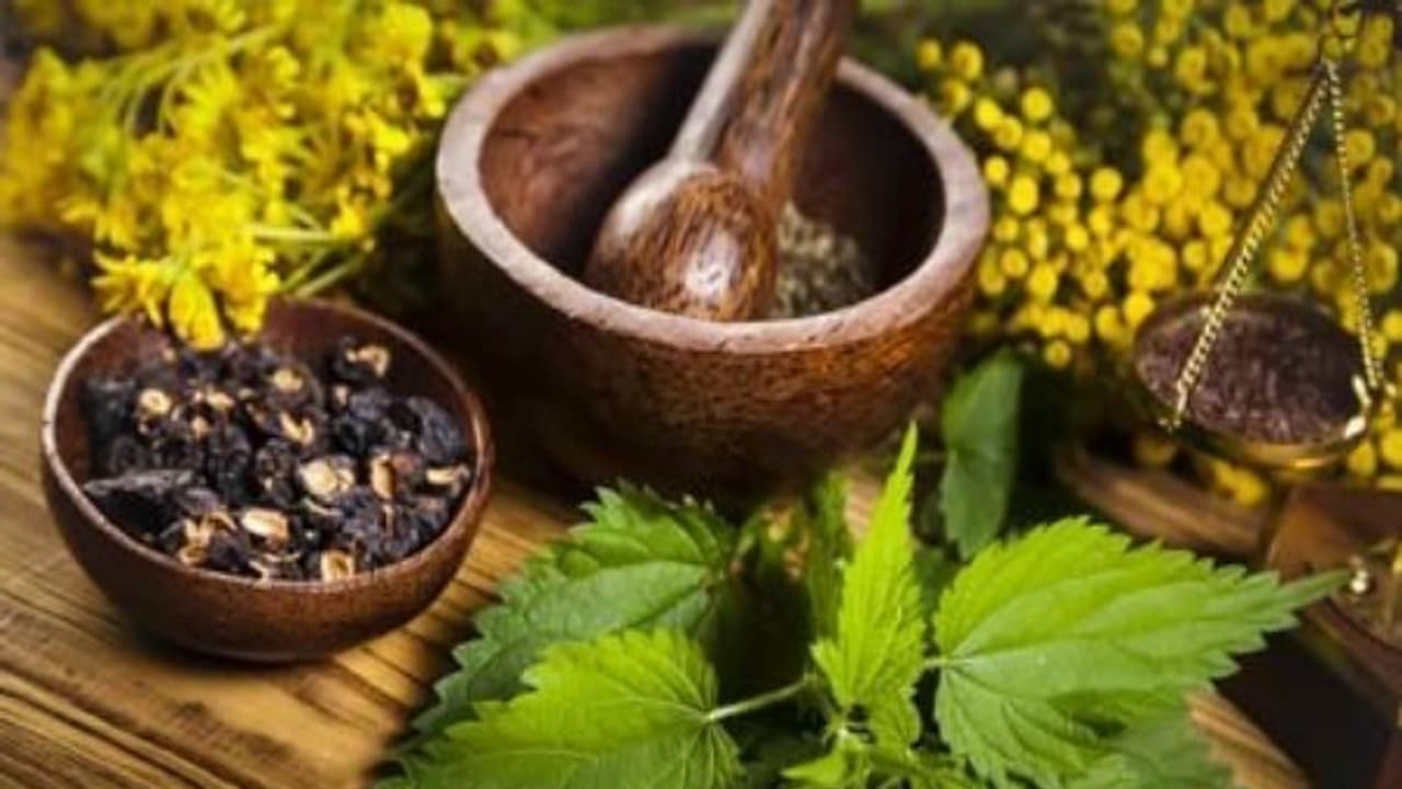 இந்த ஐந்து பெரிய பிரச்சனைகளுக்கும் தீர்வு ரொம்ப சிம்பிள்ங்க இயற்கை வைத்தியத்தில்! இந்த ஐந்து பெரிய பிரச்சனைகளுக்கும் தீர்வு ரொம்ப சிம்பிள்ங்க இயற்கை வைத்தியத்தில்!