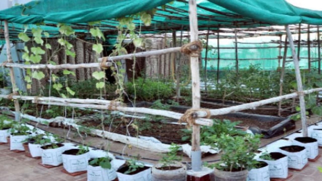 மாடியையே ஒருங்கிணைந்த பண்ணை தோட்டமாக மாற்றலாம்? மாடியையே ஒருங்கிணைந்த பண்ணை தோட்டமாக மாற்றலாம்?