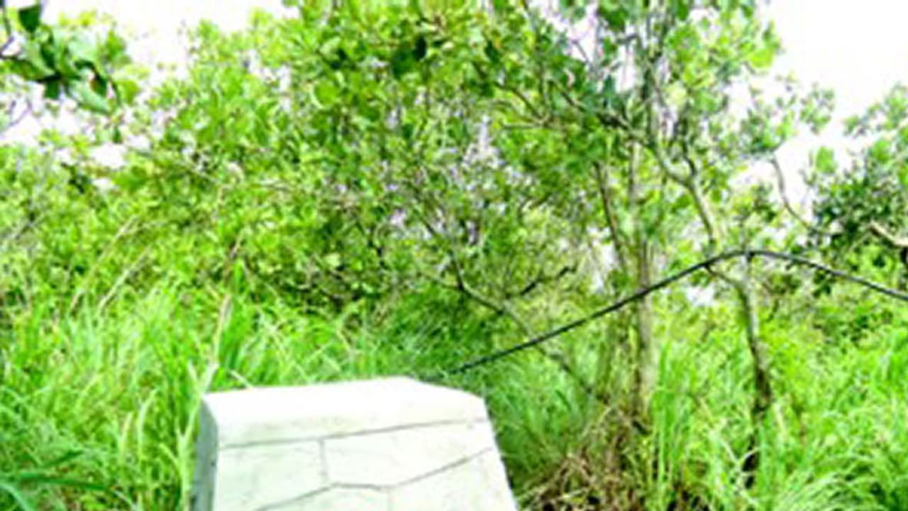 കെഎസ്ഇബിയുടെ ജണ്ട; കര്‍ഷകര്‍ ആശങ്കയില്‍