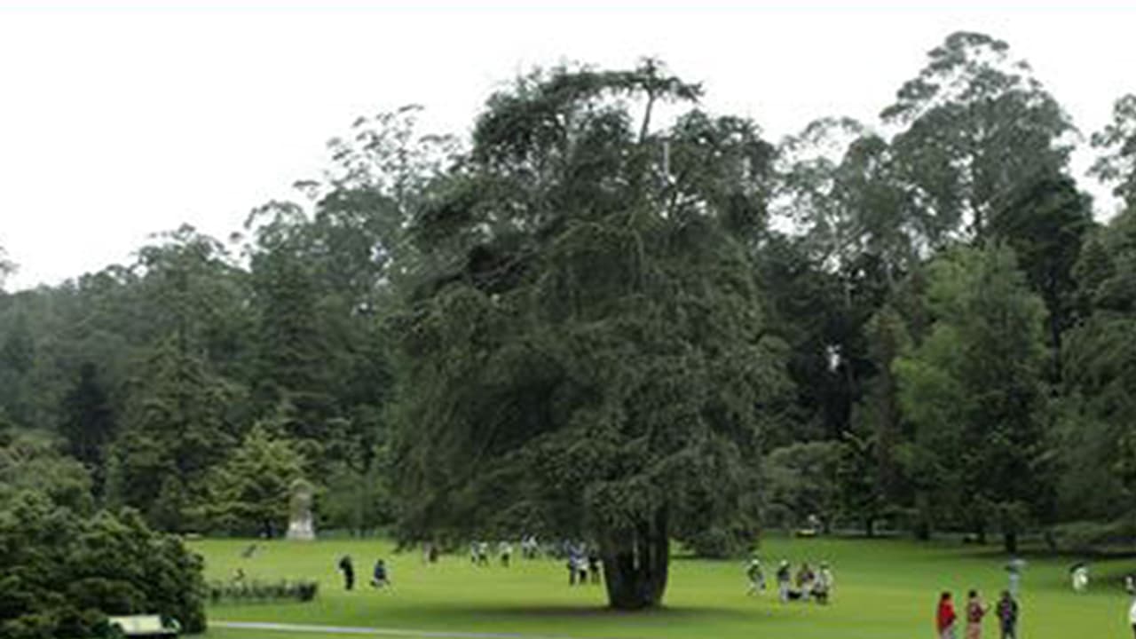 ಗಾಲ್ಫ್ ಕ್ಲಬ್ ಬರೀ 5000ರೂ. ಬಾಡಿಗೆ!