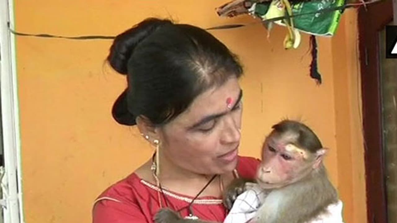 വീഡിയോ: ഇങ്ങനെയുമുണ്ട് പൊലീസ്!