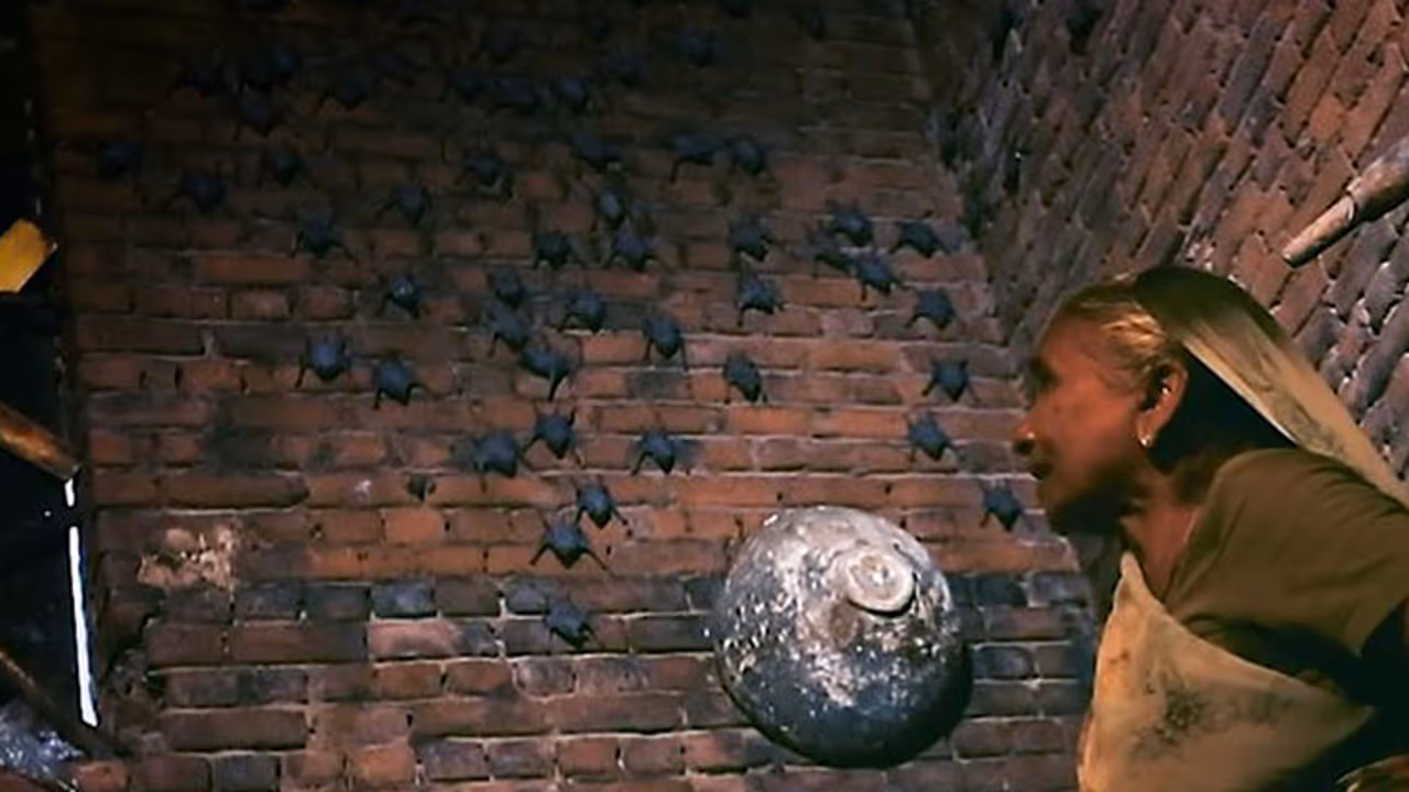 ശാന്താബെൻ: ഇത് ഇന്ത്യയുടെ 'ബാറ്റ് വുമണ്' ശാന്താബെൻ: ഇത് ഇന്ത്യയുടെ 'ബാറ്റ് വുമണ്'