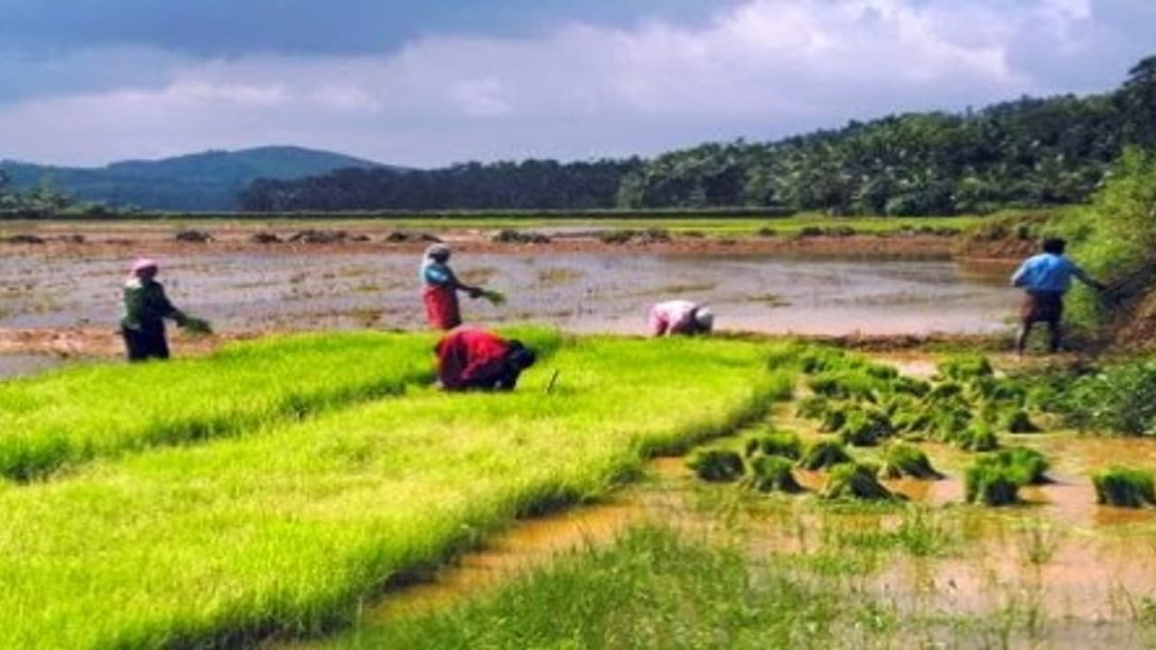 வேளாண்மை உற்பத்தி திறனையும், விவசாயிகளின் வருமானத்தையும் அதிகரிக்க… வேளாண்மை உற்பத்தி திறனையும், விவசாயிகளின் வருமானத்தையும் அதிகரிக்க…