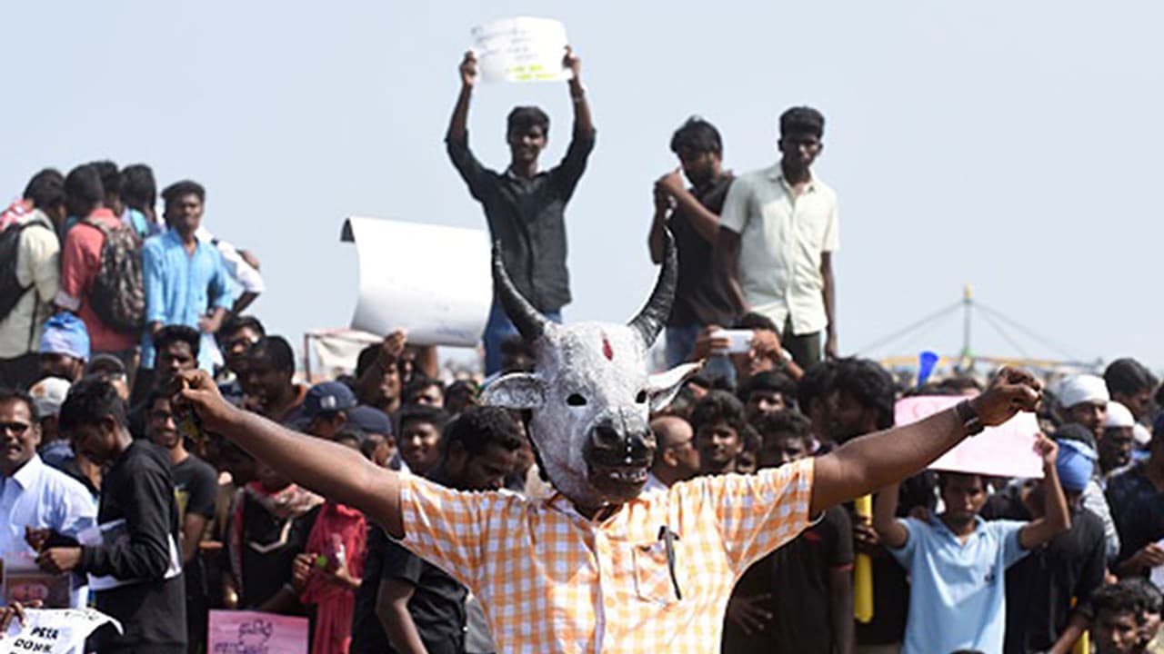 The Marina uprising is a wake up call for India's political class The Marina uprising is a wake up call for India's political class