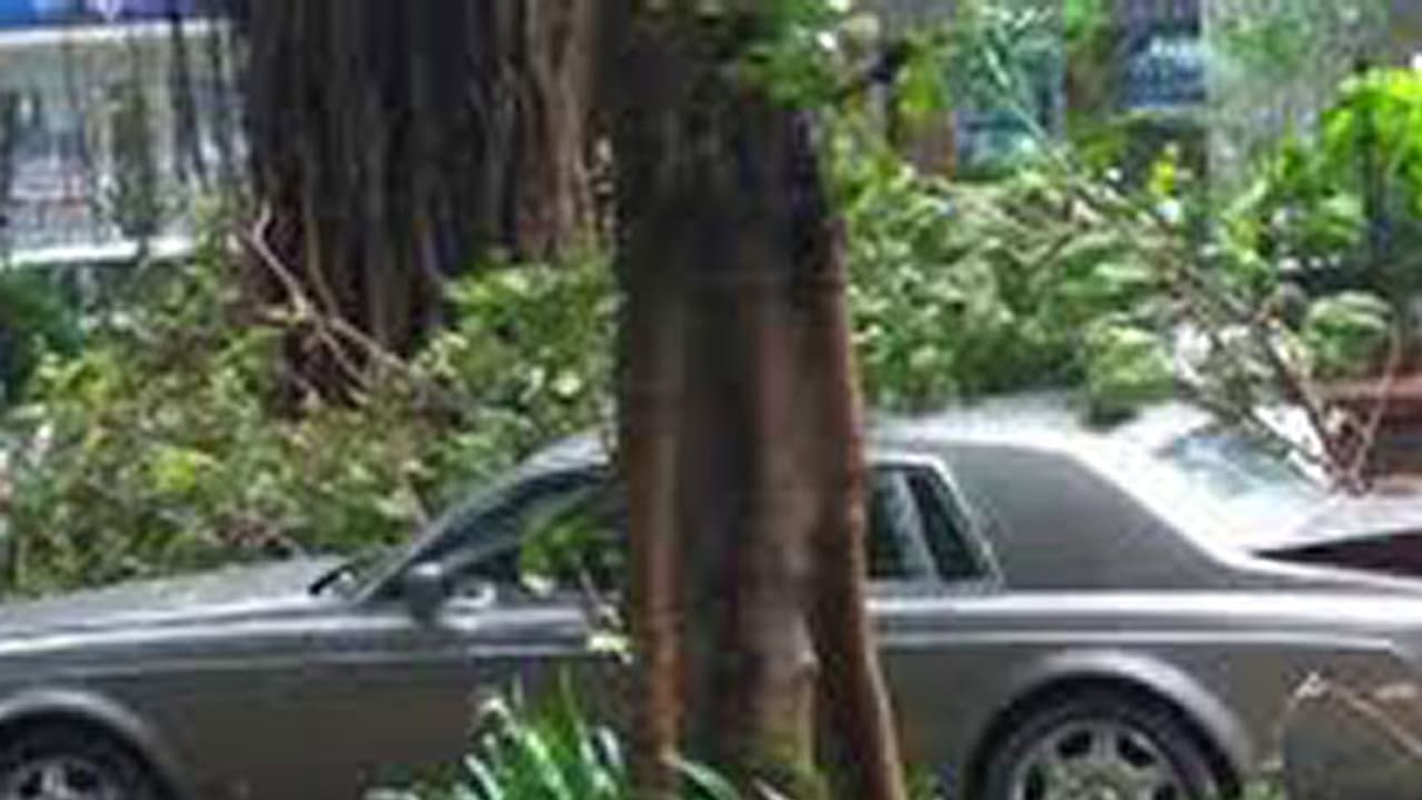 അഞ്ചുകോടിയുടെ റോൾസ് റോയ്സിന് മുകളിൽ മരം വീണാൽ എന്തു സംഭവിക്കും? അഞ്ചുകോടിയുടെ റോൾസ് റോയ്സിന് മുകളിൽ മരം വീണാൽ എന്തു സംഭവിക്കും?