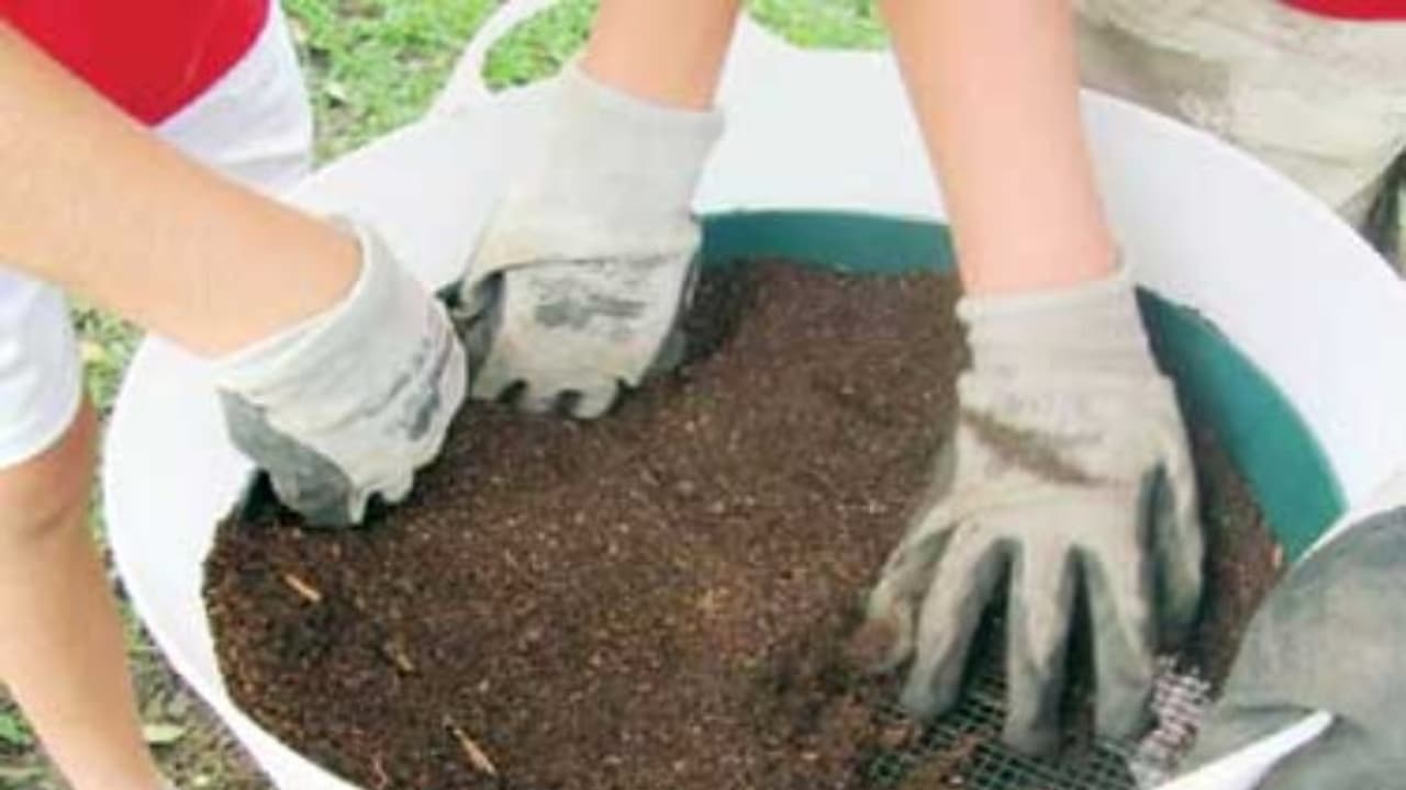 மட்கு உரத்தால் அப்படி என்னதான் நன்மைகள் கிடைக்கிறது? தெரிஞ்சுக்குங்க... மட்கு உரத்தால் அப்படி என்னதான் நன்மைகள் கிடைக்கிறது? தெரிஞ்சுக்குங்க...