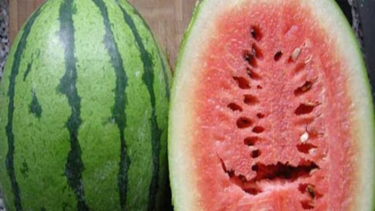 தர்பூசணி பழம் இப்படி இருந்தால் சாப்பிடவே சாப்பிடாதீர்கள்! அவ்வளவு ஆபத்து... தர்பூசணி பழம் இப்படி இருந்தால் சாப்பிடவே சாப்பிடாதீர்கள்! அவ்வளவு ஆபத்து...