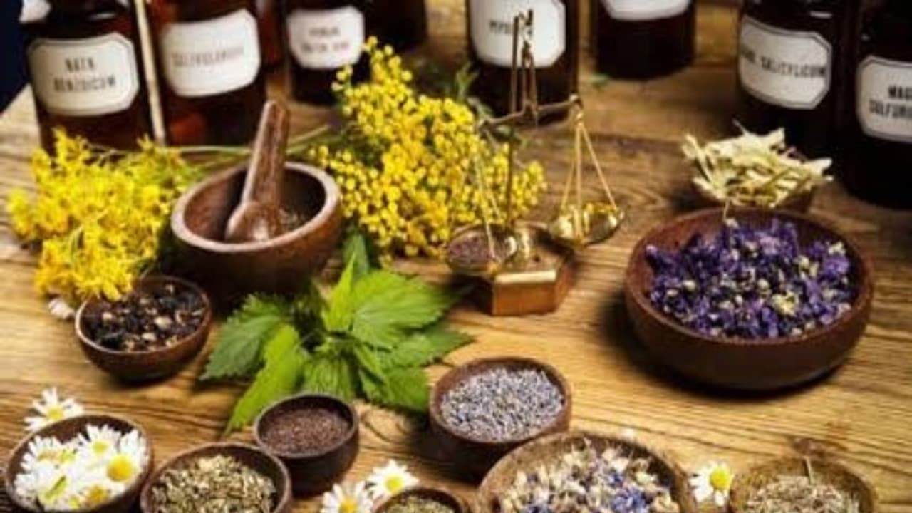 இருதயம் சம்மந்தமான அனைத்து நோய்க்கும் செம்பருத்திபூ பொடி சிறந்தது...